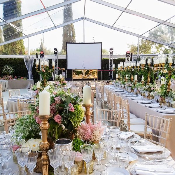 Pellicci e Meschi Villa Le Rose (1)