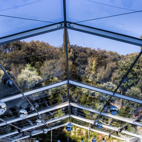 Pellicci e Meschi Villa San Michele (3)